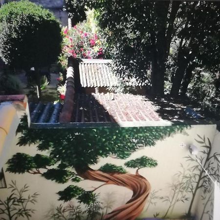 Suite Volupte Classee 3 Etoiles Avec Vue Sur Jardin, Climatisation Montpellier Exteriér fotografie